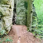 Tailors Trail And In Mullerthal Semesterbostad Beaufort