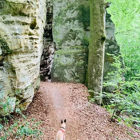 Tailors Trail And In Mullerthal Σπίτι διακοπών Beaufort