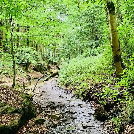 Tailors Trail And In Mullerthal 펜션 보포르