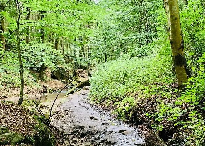 Tailors Trail And In Mullerthal Hébergement de vacances Beaufort