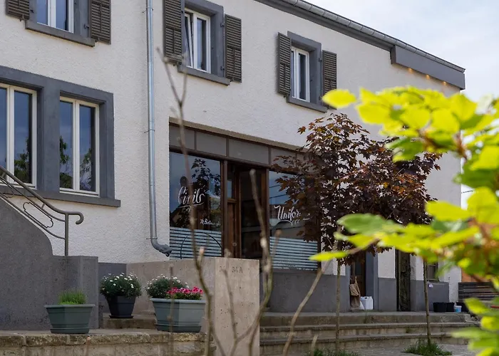 Tailors Trail And In Mullerthal Befort